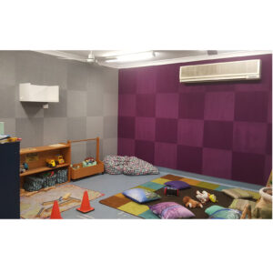 Acoustics - Phantom and Silver